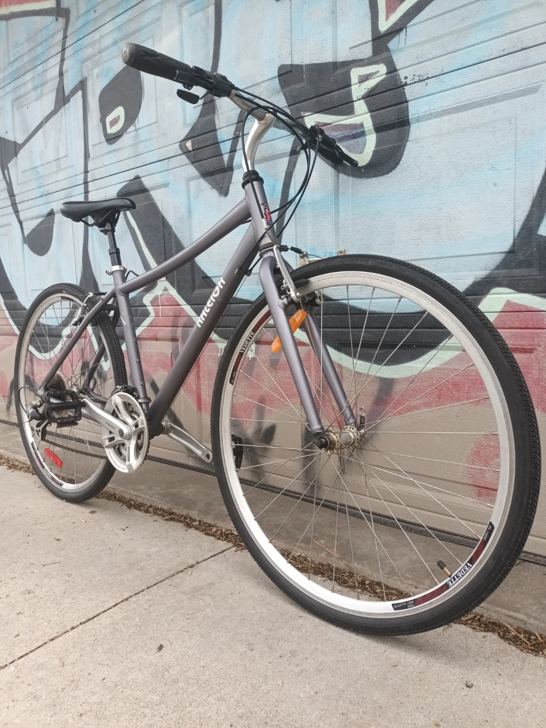 Raleigh Detour Bike