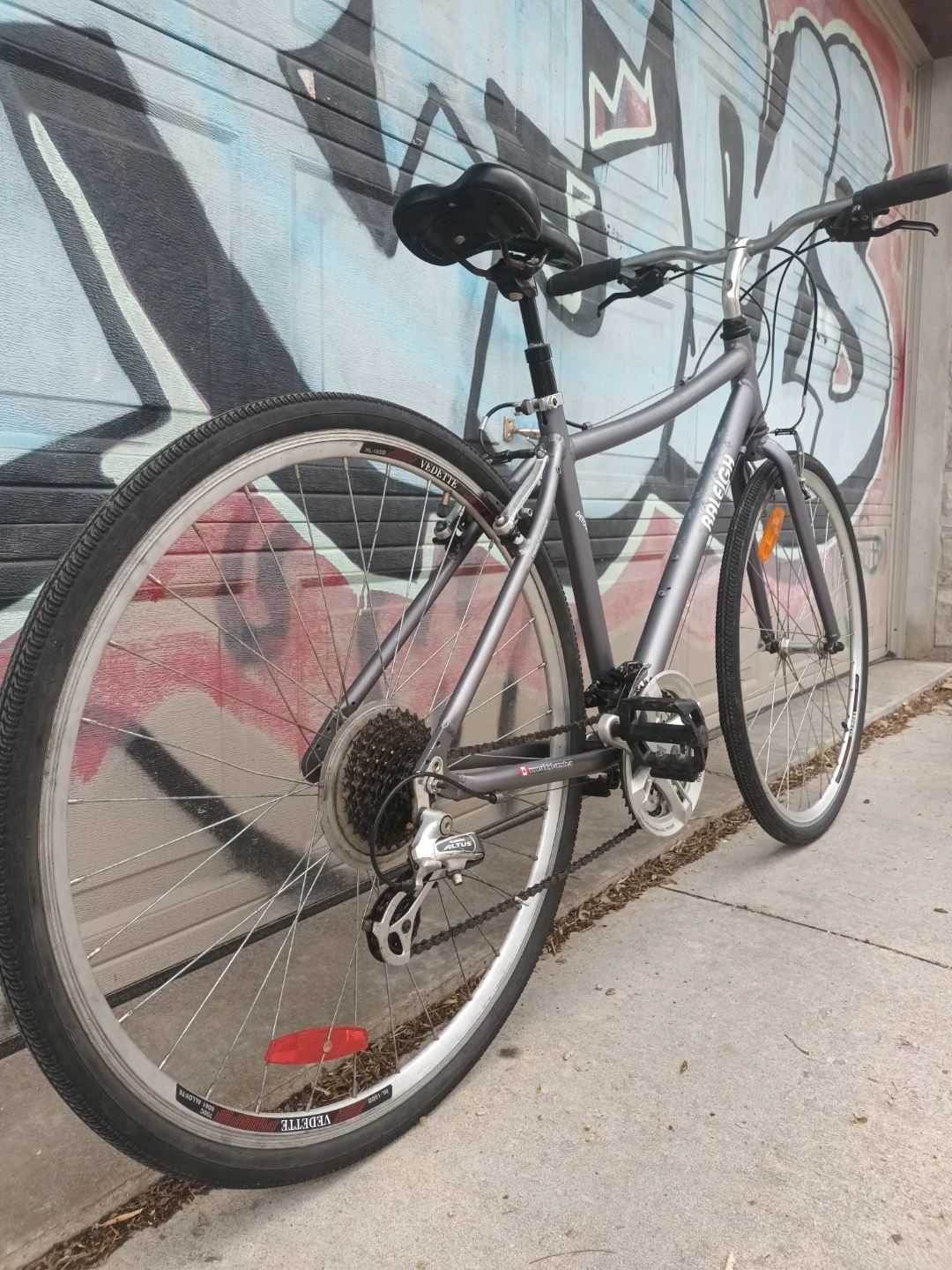 Raleigh Detour Bike - photo 3