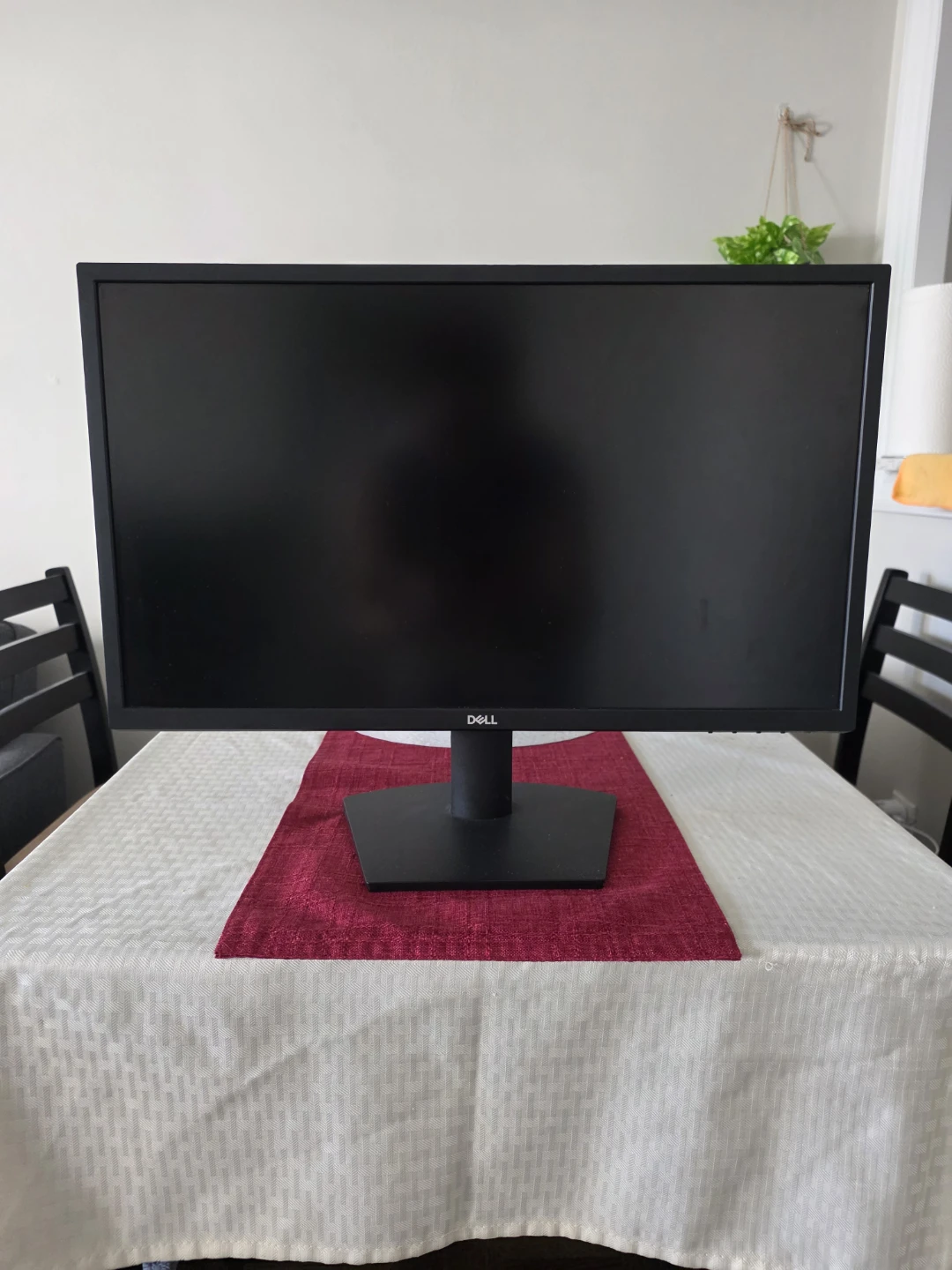 Dell SE2422H Flat Panel Monitor