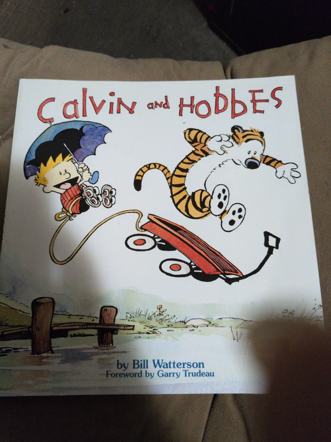 Calvin and Hobbes by Bill Watterson