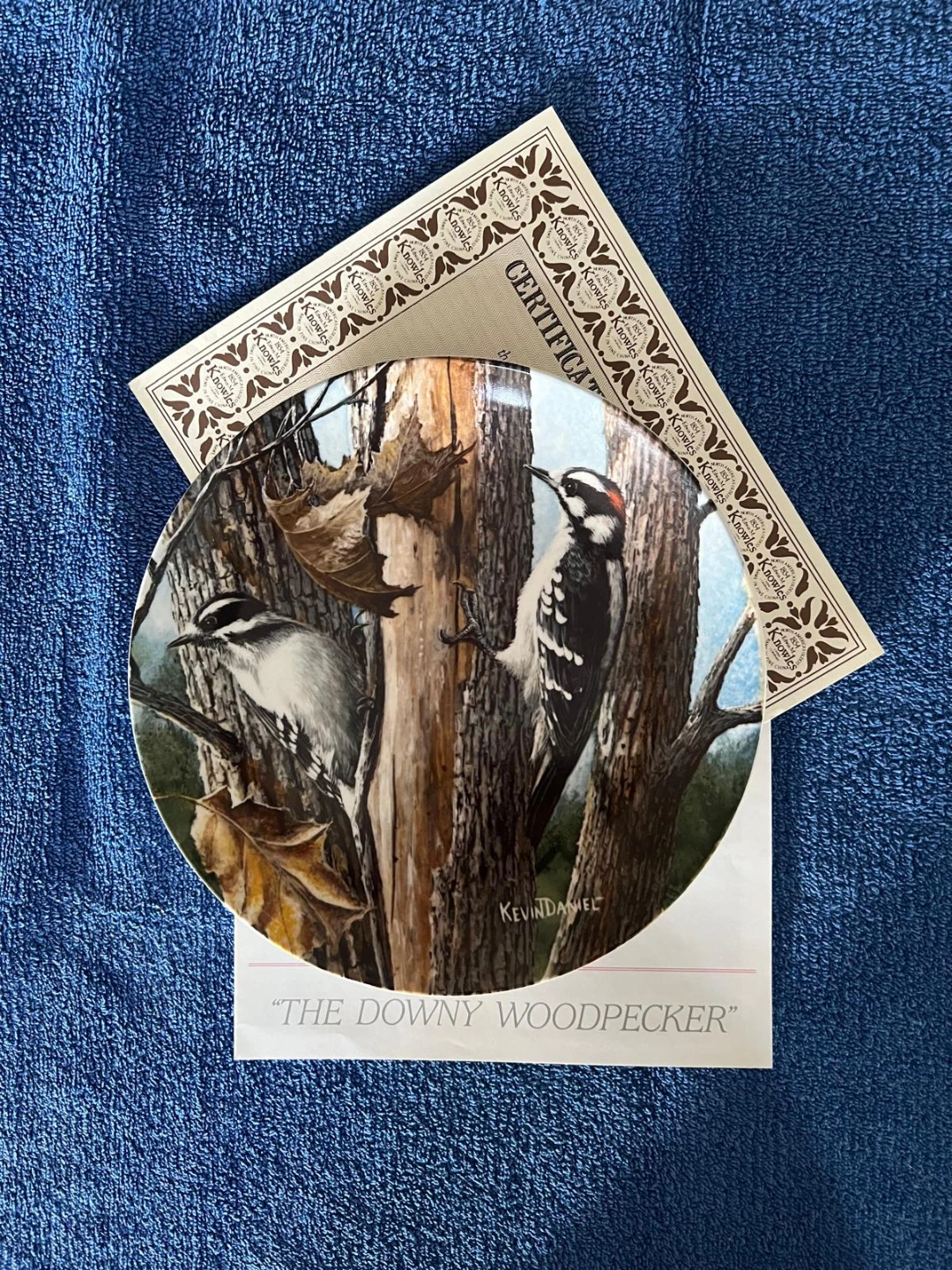 Birds of Your Garden Collection - photo 5
