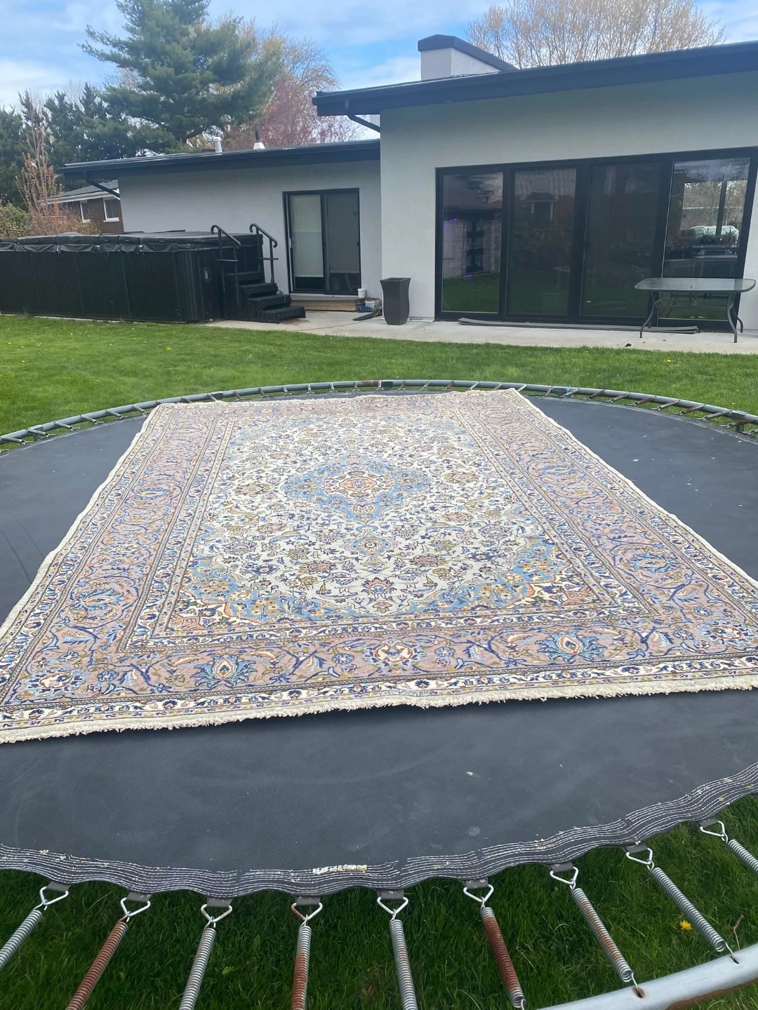 Persian Style Area Rug