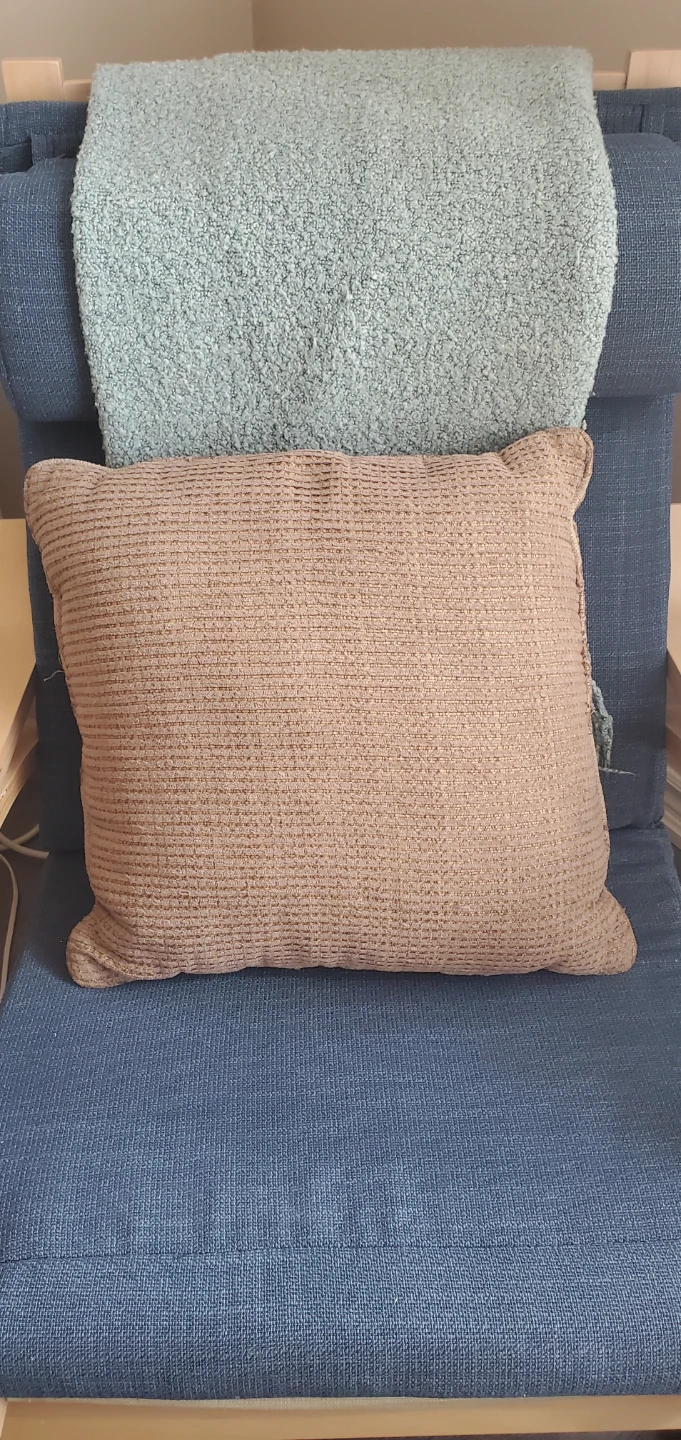 Decorative Throw Pillow - Reversible