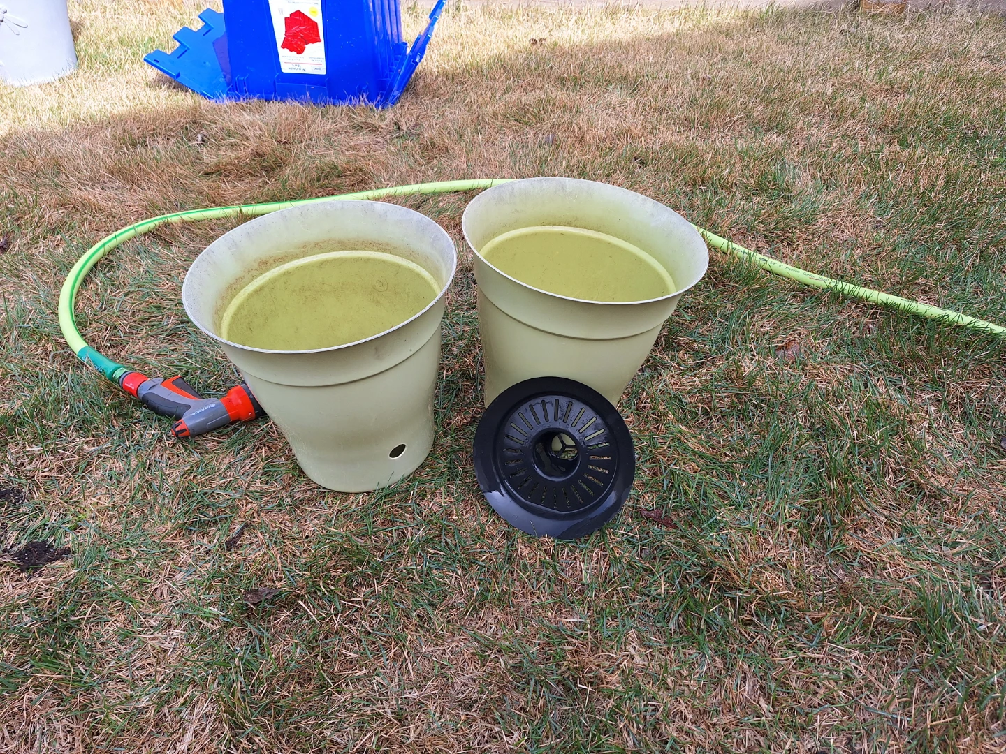 2 Self Watering Flower Pots