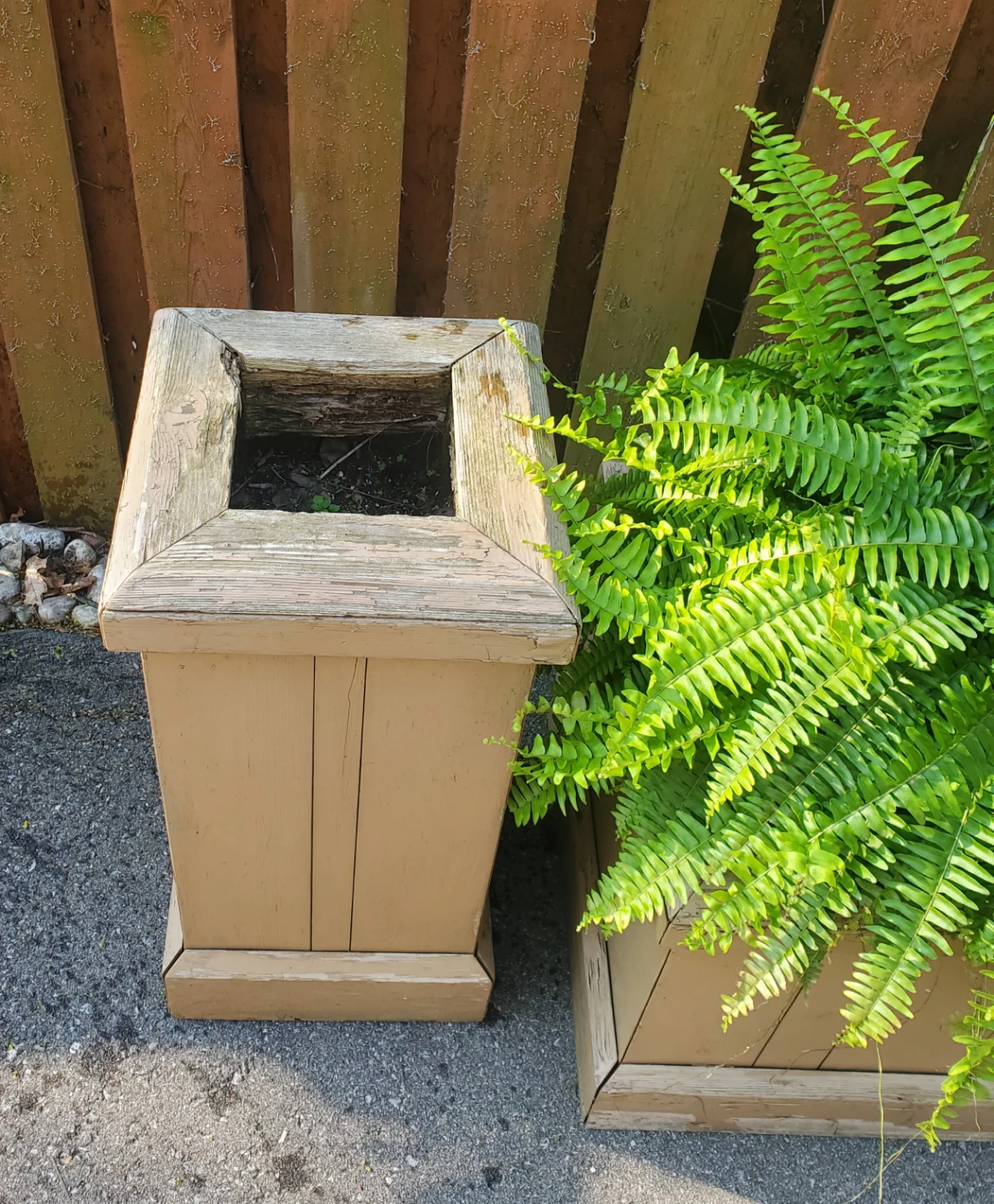 LARGE PLANTERS - photo 3
