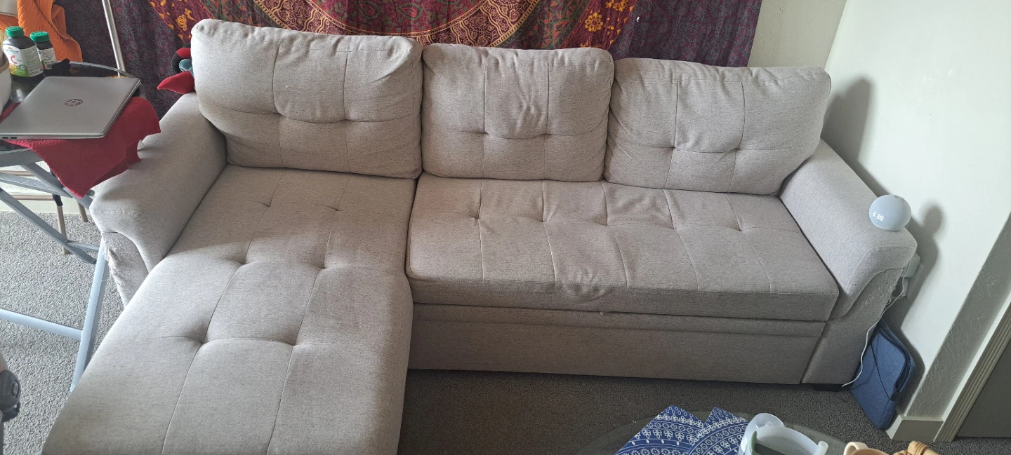 Sectional Couch with Chaise - Beige - photo 2