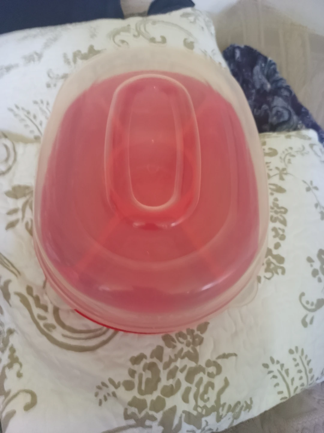 Aero Housewares Red Divided Serving Tray with Lid