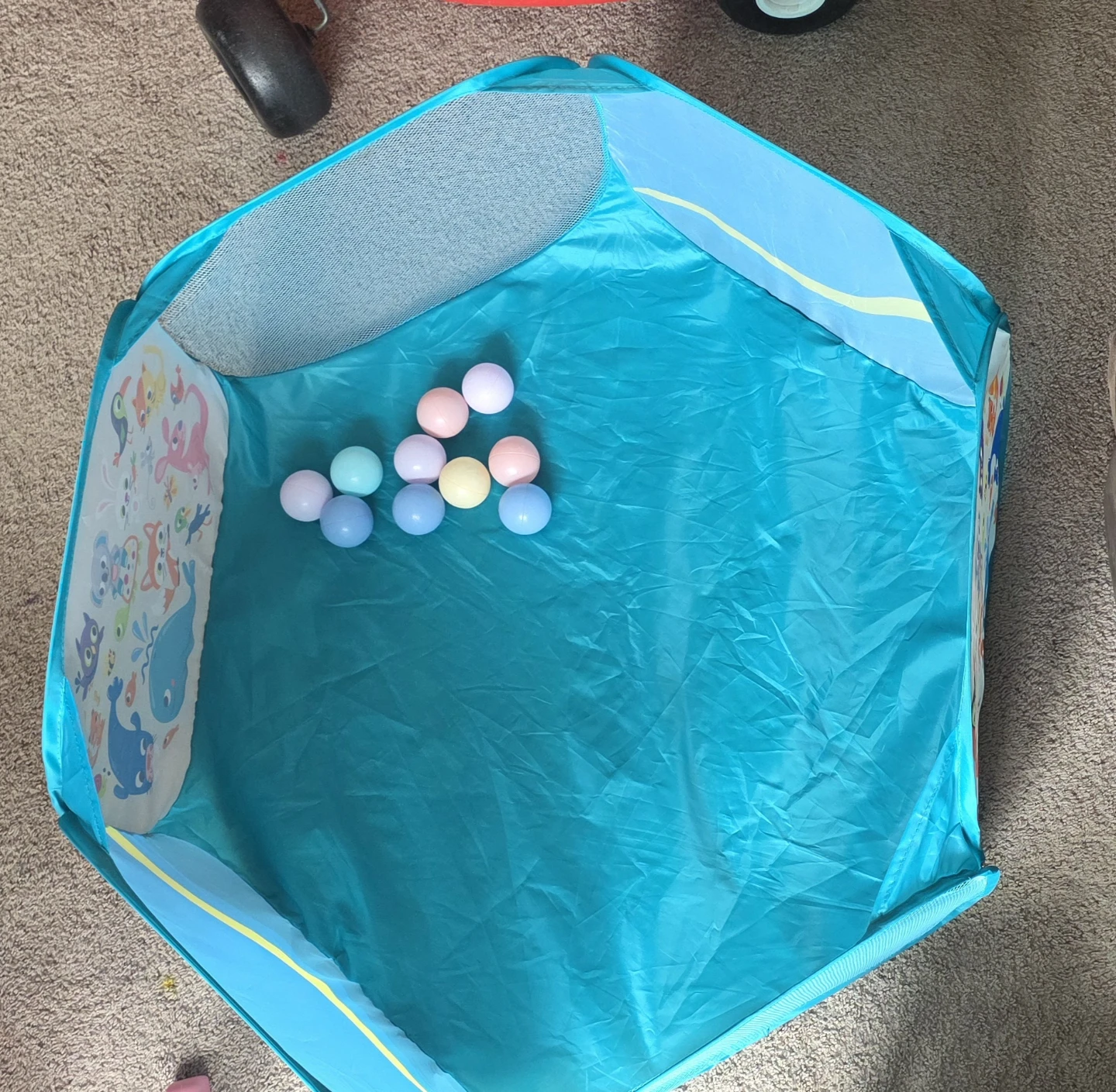 Playpen