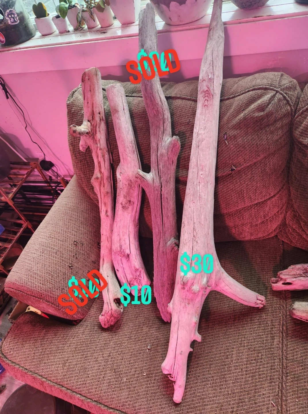 Driftwood Pieces - photo 2