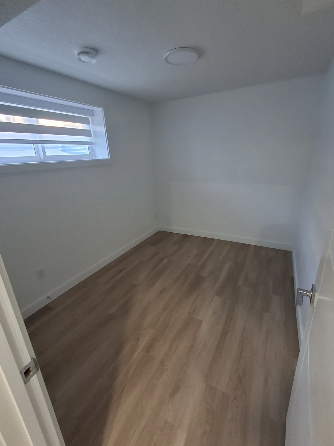 Basement suite for rent
