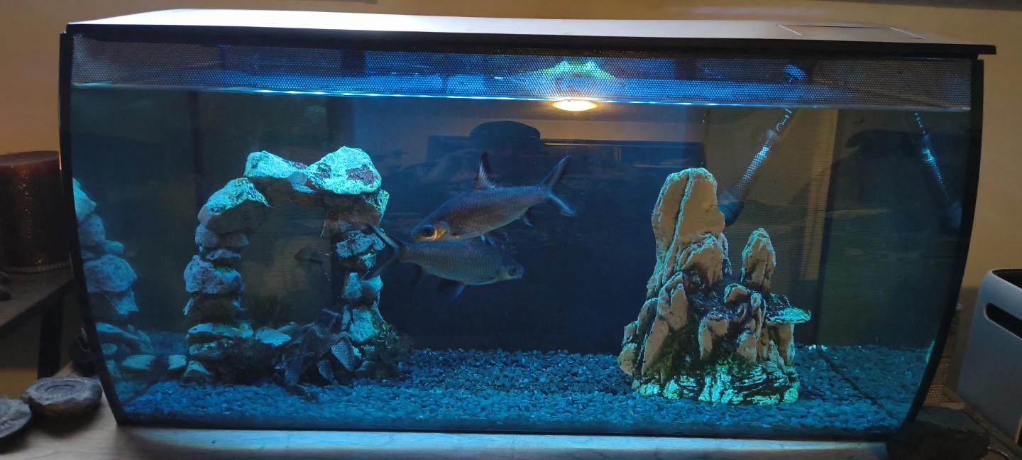 Fluval Aquarium Fish Tank with LED Lighting