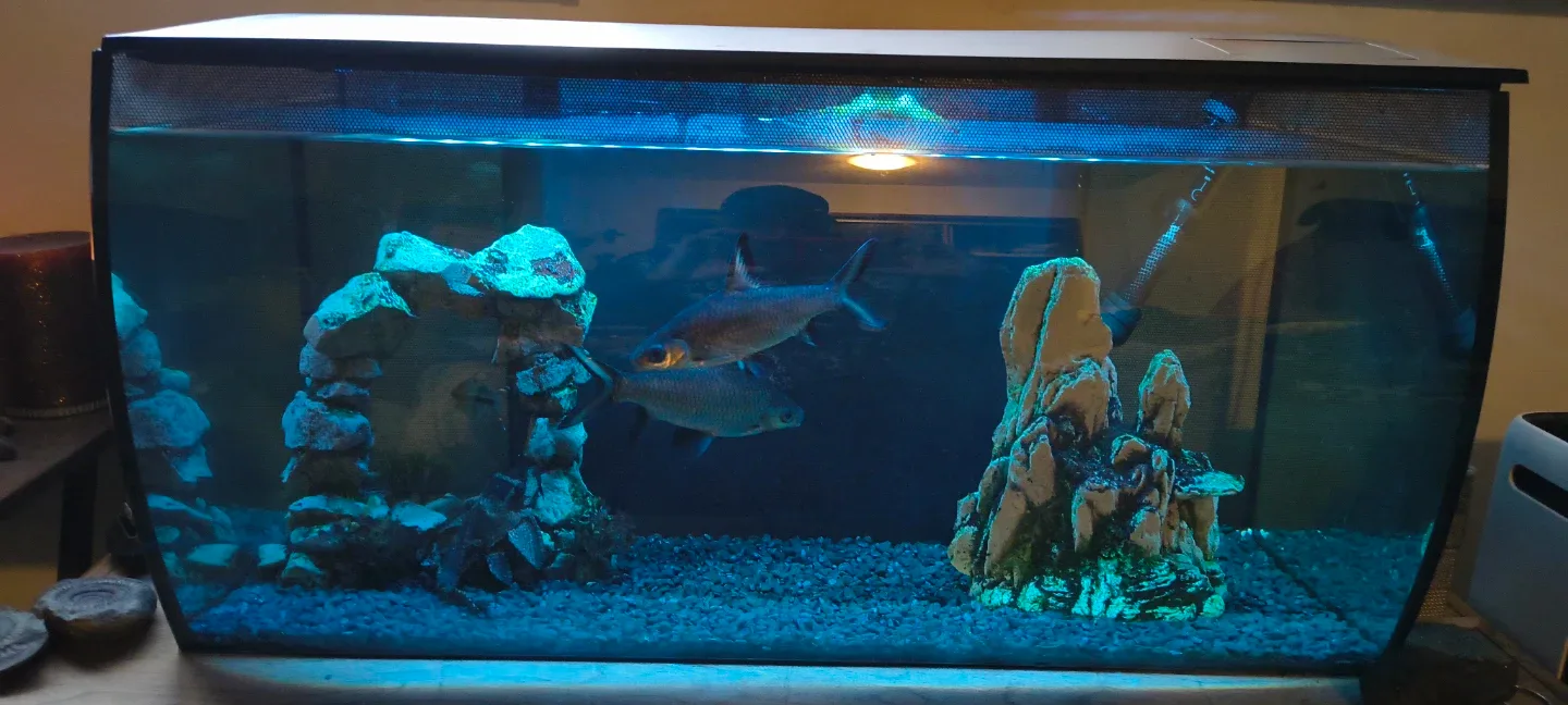 Fluval Aquarium Fish Tank with LED Lighting