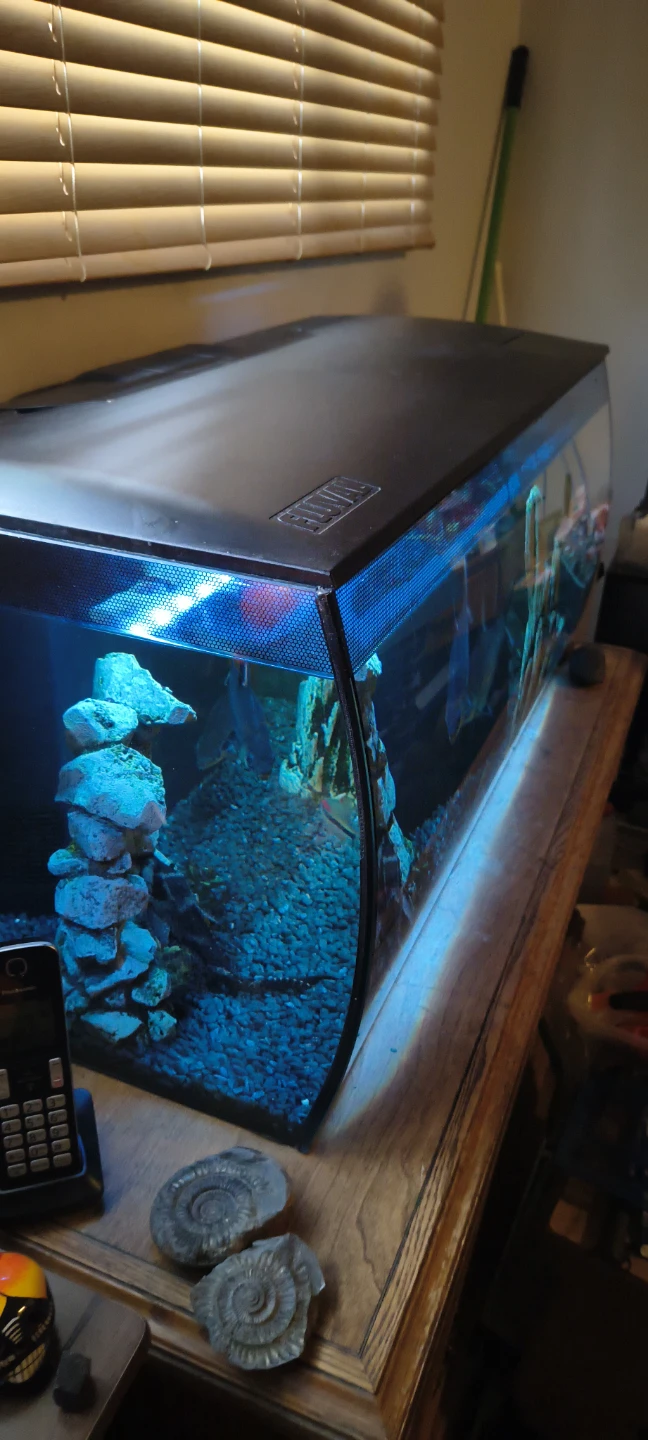 Fluval Aquarium Fish Tank with LED Lighting - photo 2