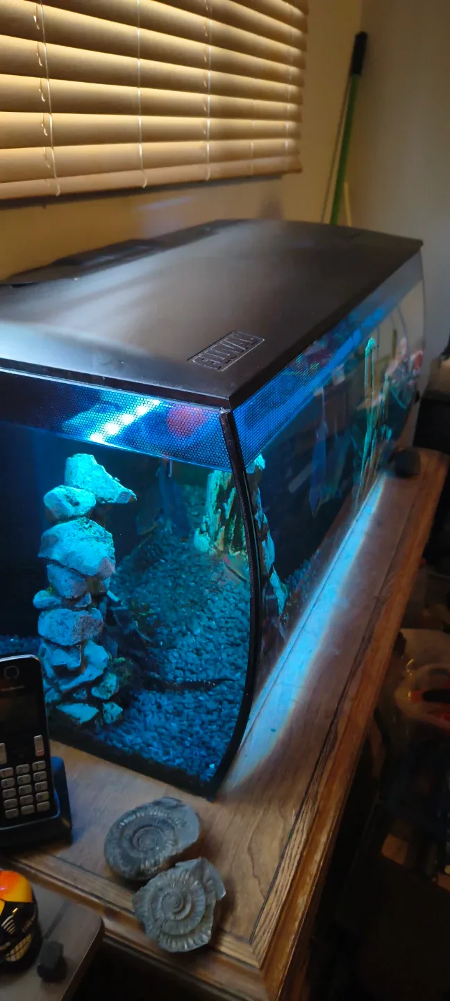 Fluval Aquarium Fish Tank with LED Lighting - photo 2