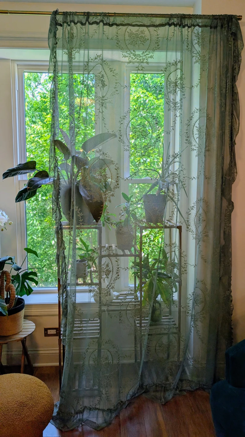 Set of 2 Vintage Inspired Sage Green Lace Curtains - photo 4