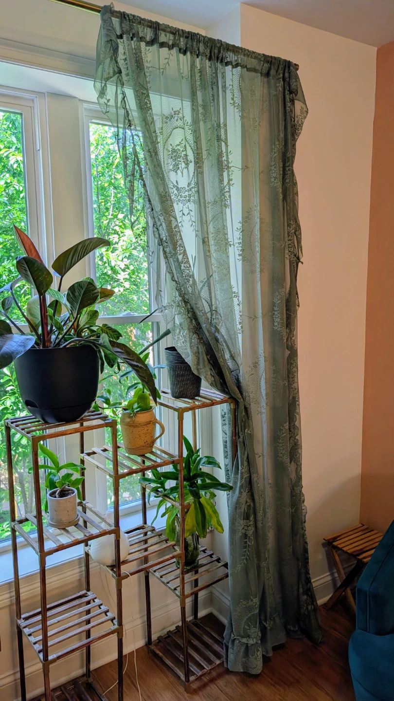 Set of 2 Vintage Inspired Sage Green Lace Curtains - photo 5