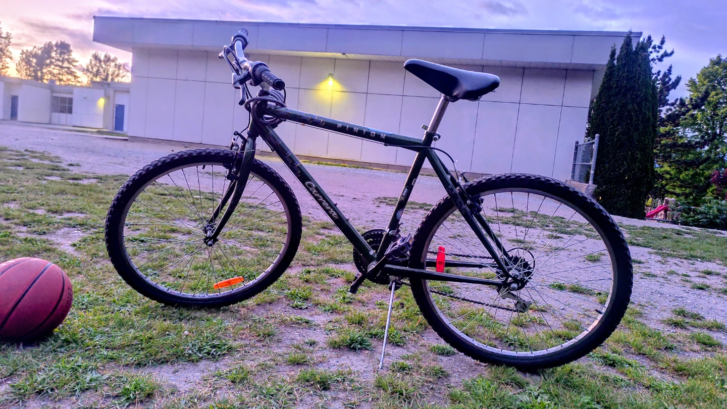 Carrera Pinion Mountain Bike
