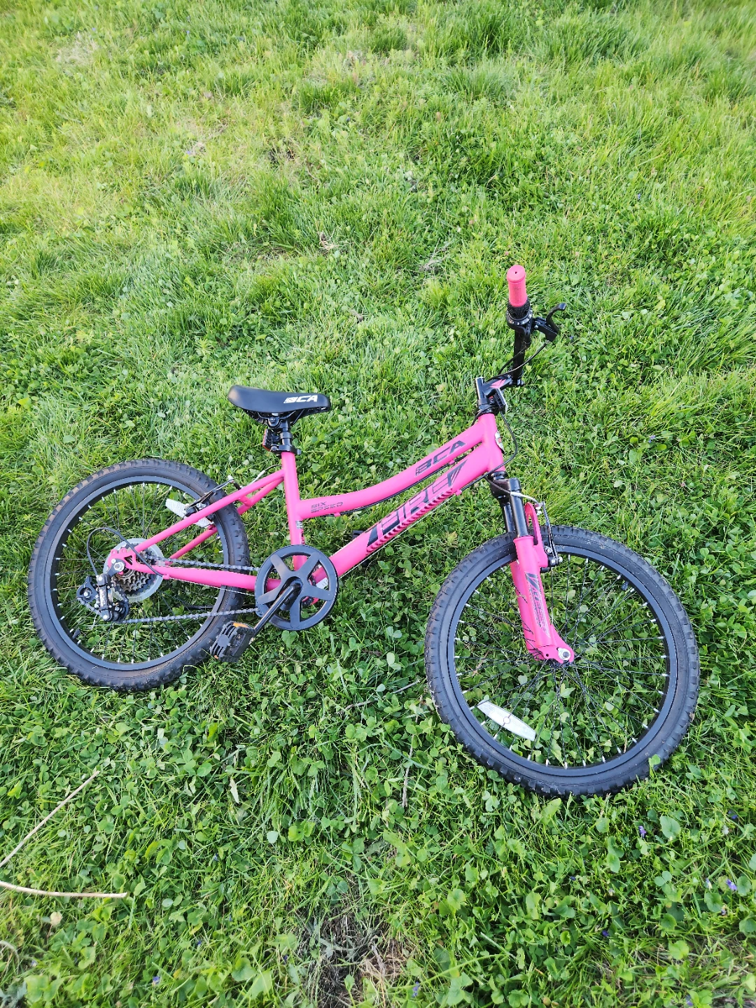 Pink BCA Kids Bike