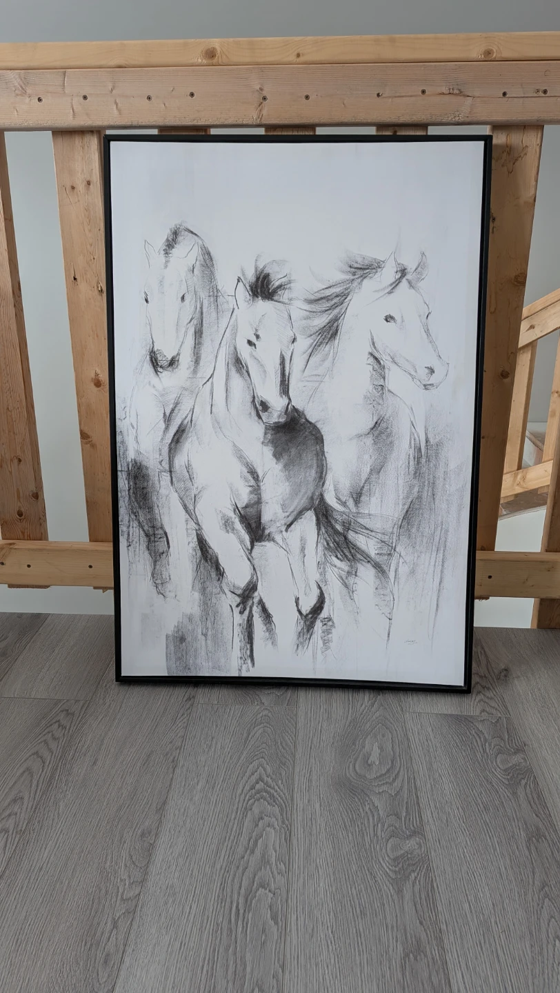 Framed Horse Sketch Wall Art
