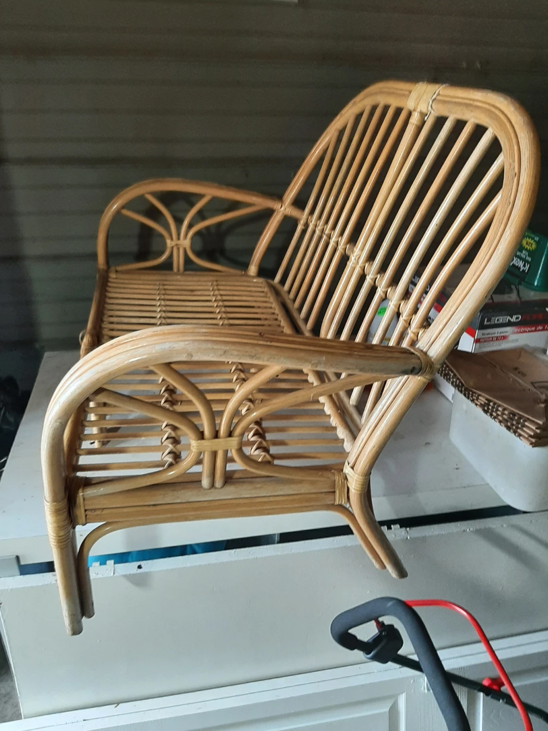 Rattan Loveseat with Cushions - photo 3