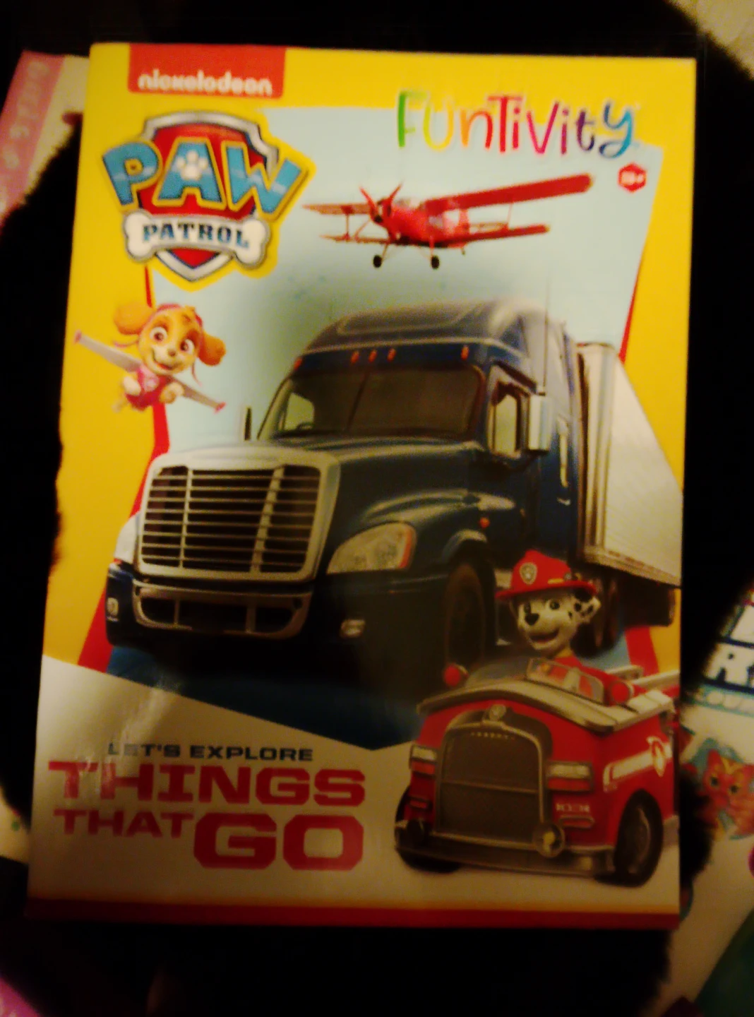 Paw Patrol Funactivity Book