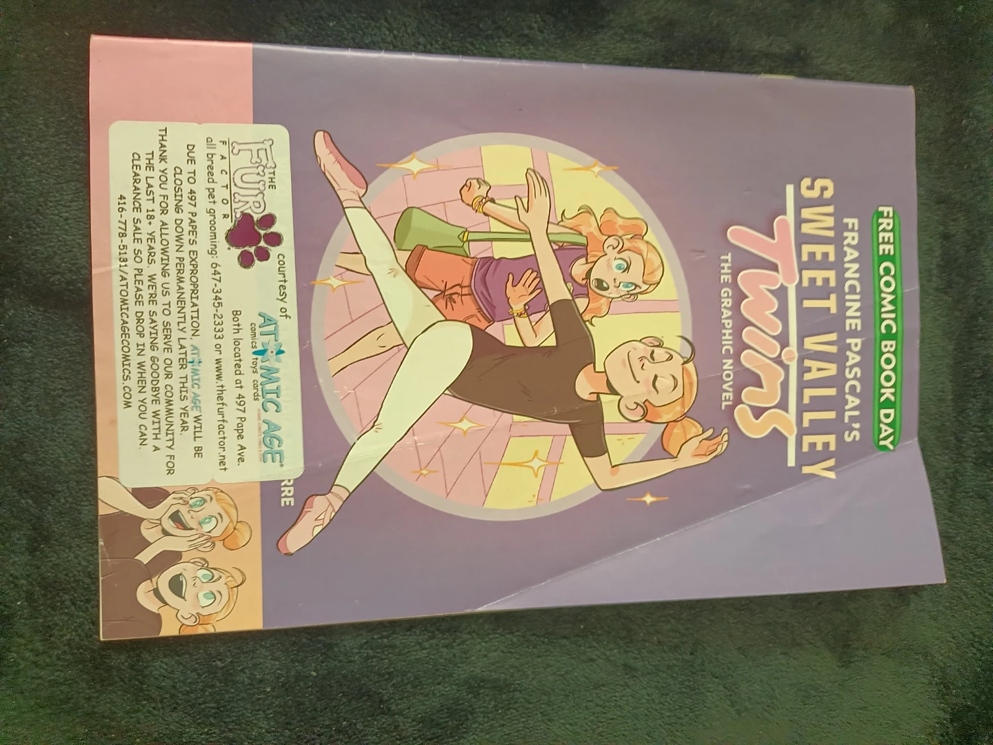 Francine Pascal's Sweet Valley Twins: The Graphic Novel