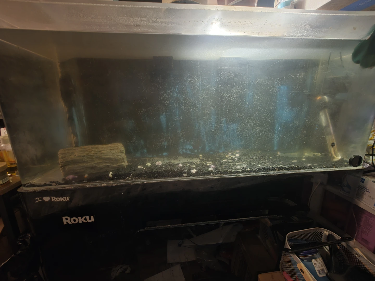 Aquarium Tank