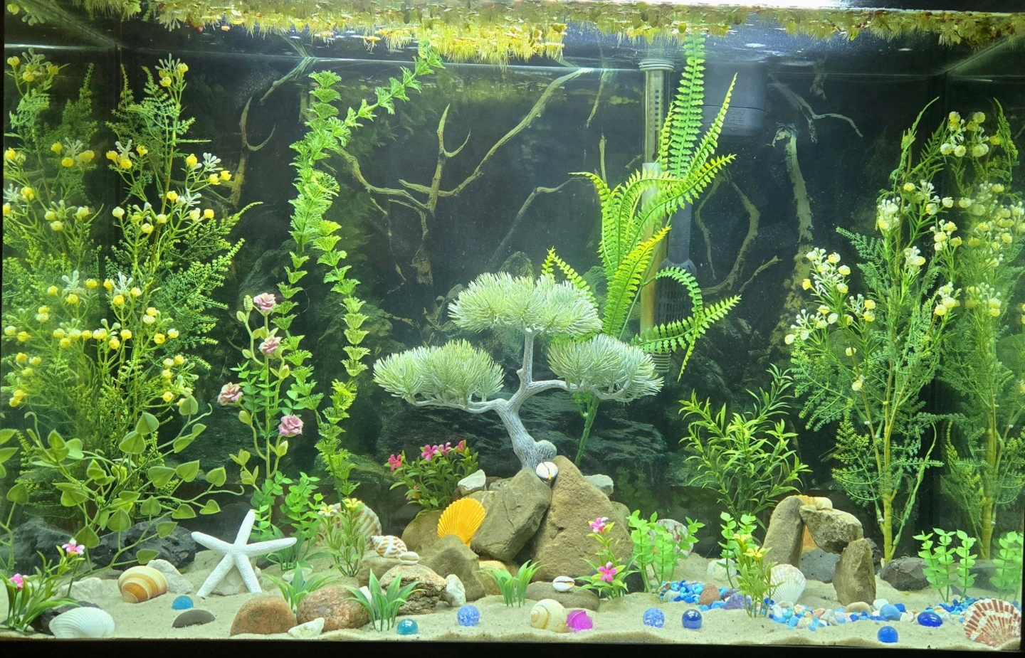 Aquarium 35 Gallon EVERYTHING INCLUDED