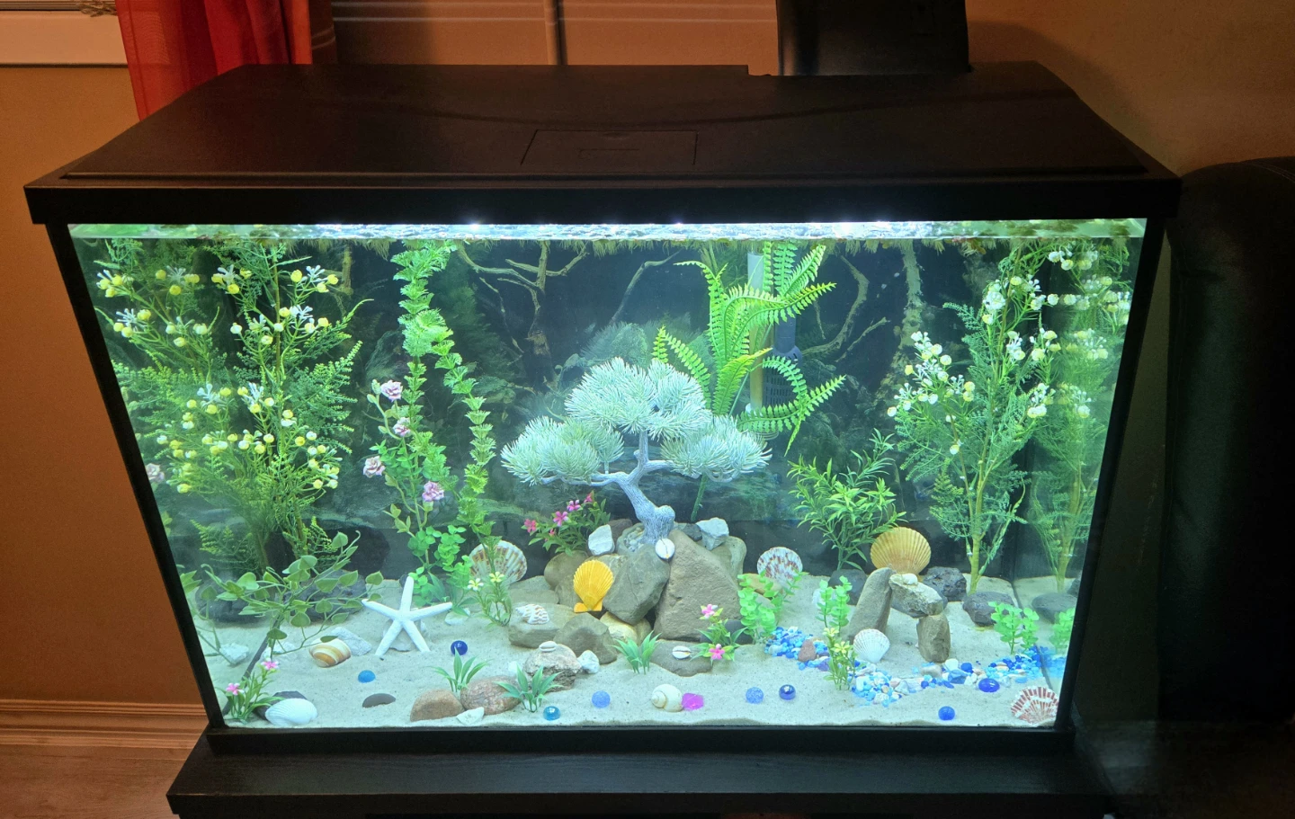 Aquarium 35 Gallon EVERYTHING INCLUDED - photo 3