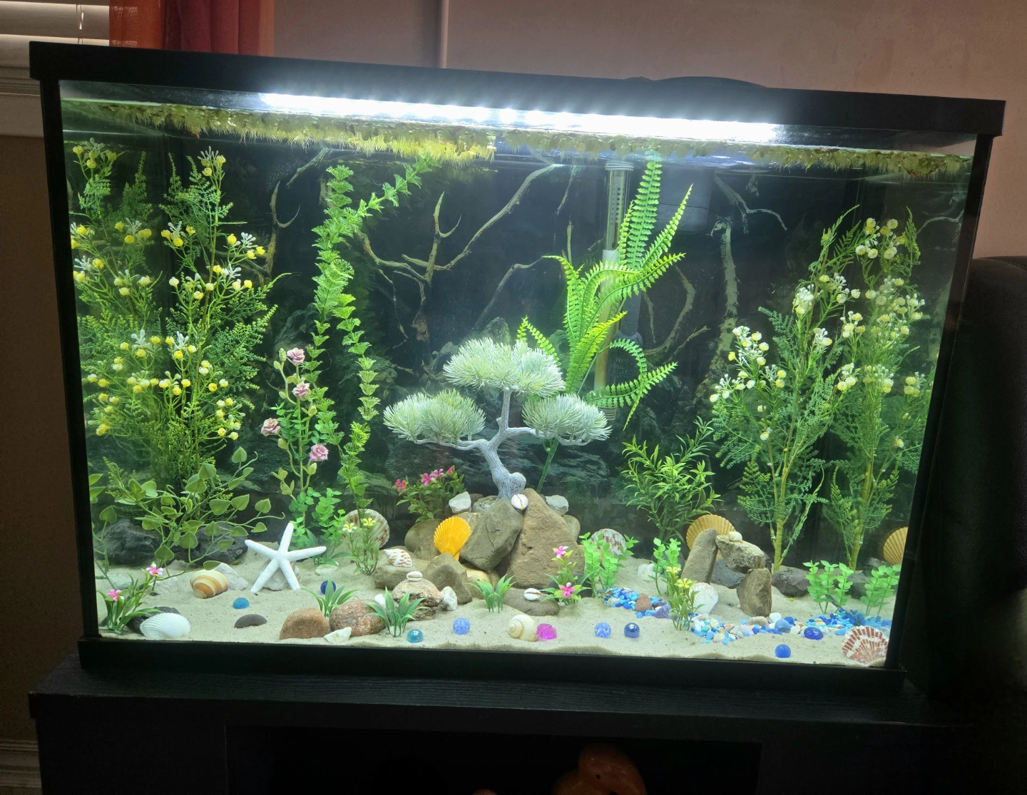 Aquarium 35 Gallon EVERYTHING INCLUDED - photo 4