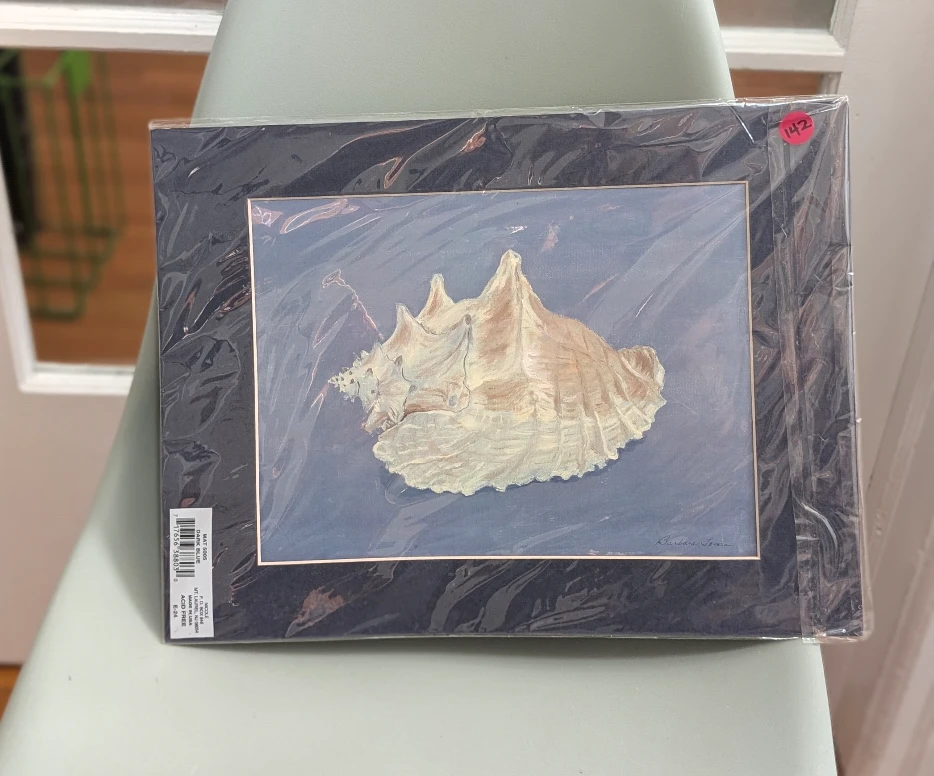 Sea Shell Print with Mat