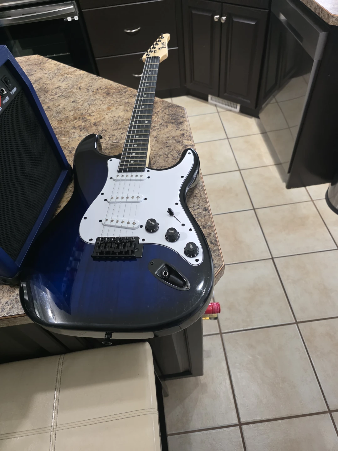 Pro Electric Guitar with Amplifier and Gig Bag - photo 2