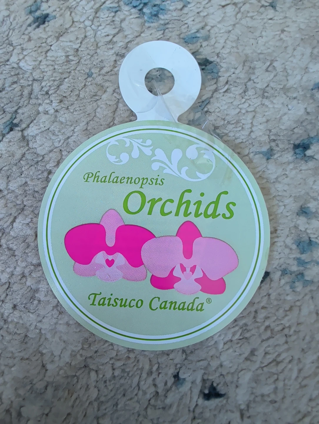 Phalaenopsis Orchids - Taisuco Canada - photo 5