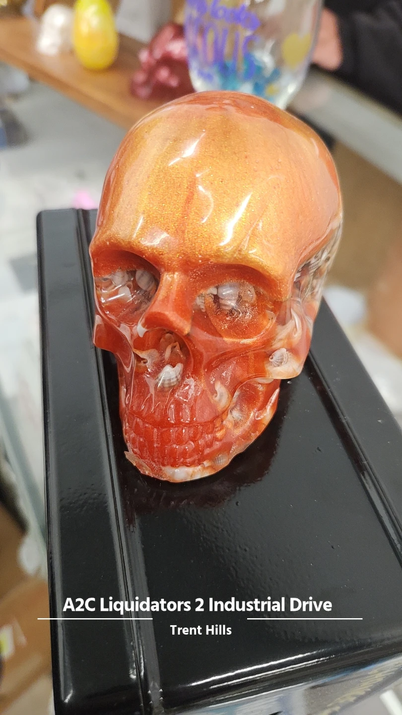 ** Made by local Campbellford Resident**  Resin Skull Figurines - photo 3