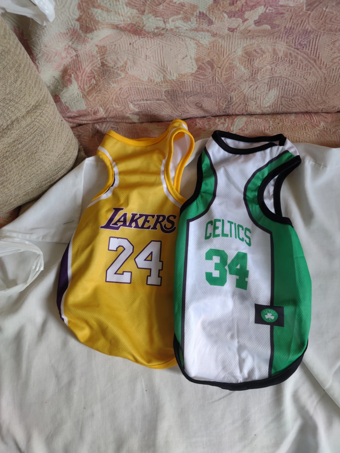 Large pet Jerseys