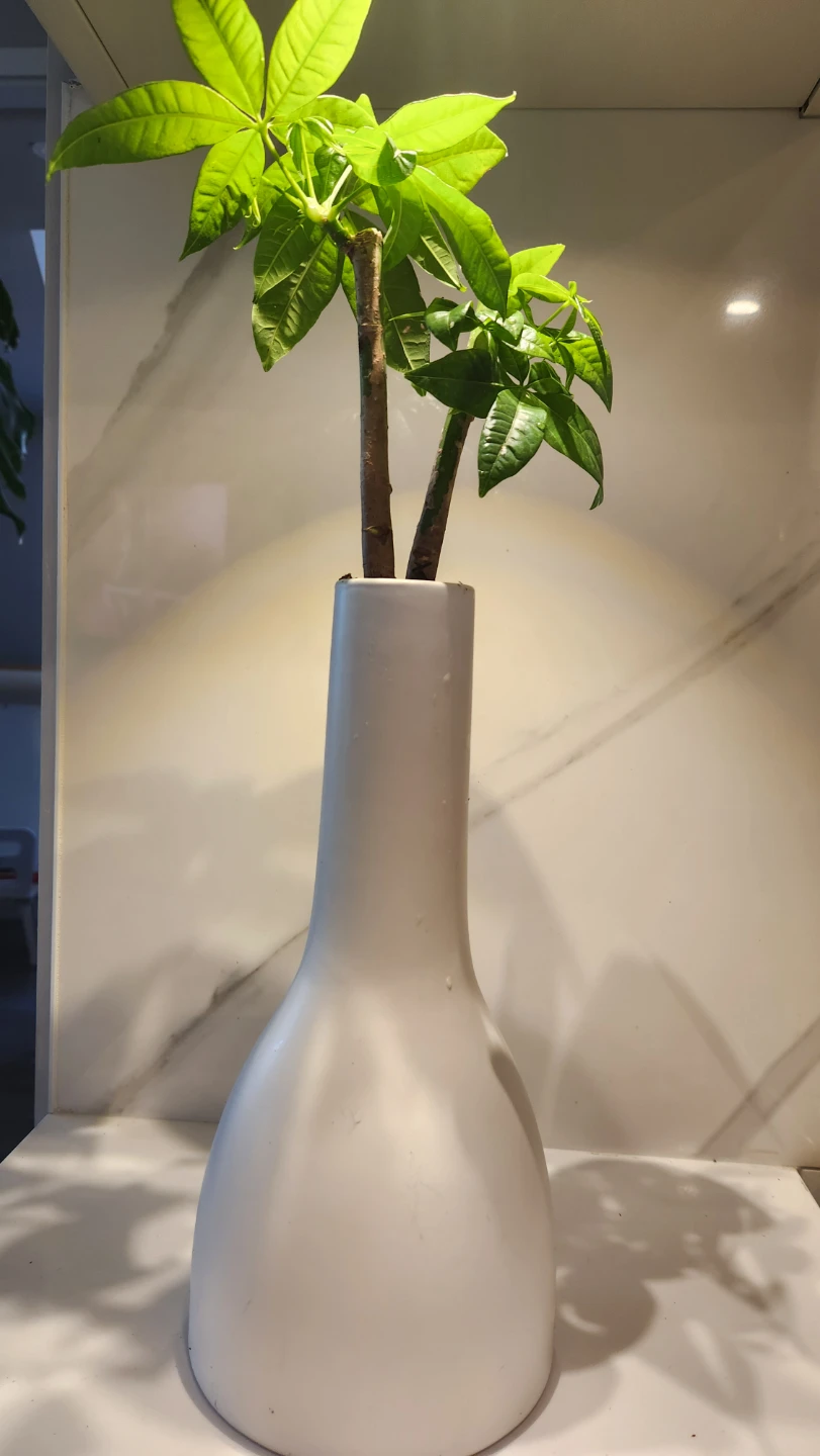 White sculptural vase planter with plants
