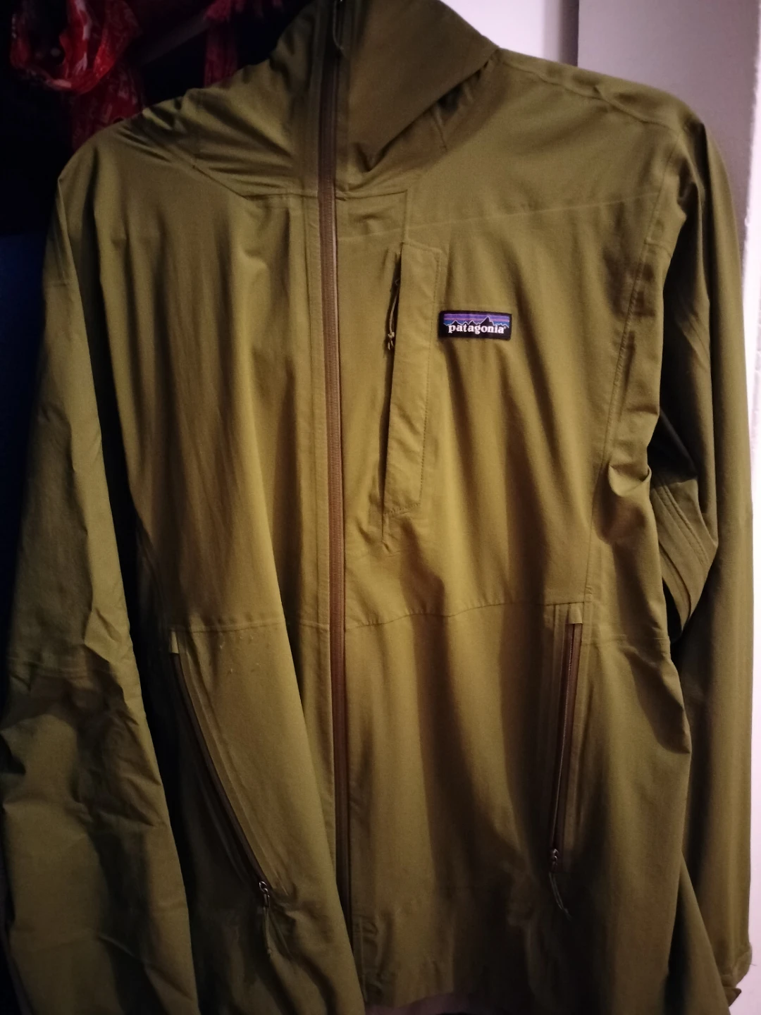 Patagonia Men's Green Lightweight Jacket