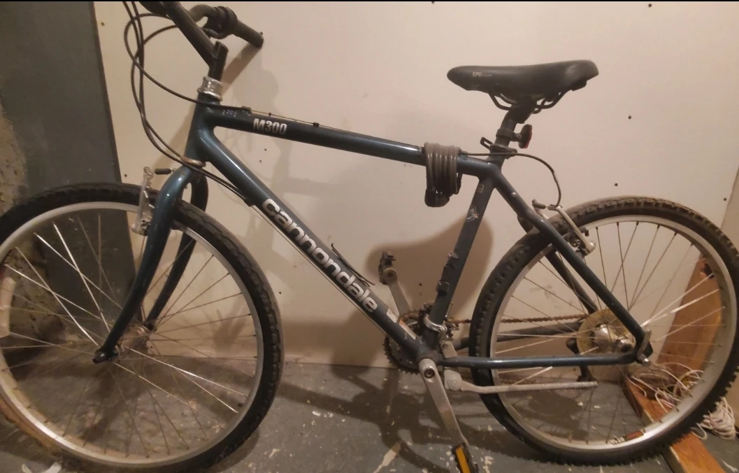 Cannondale M300 Mountain Bike - 18"/45.7cm - photo 2
