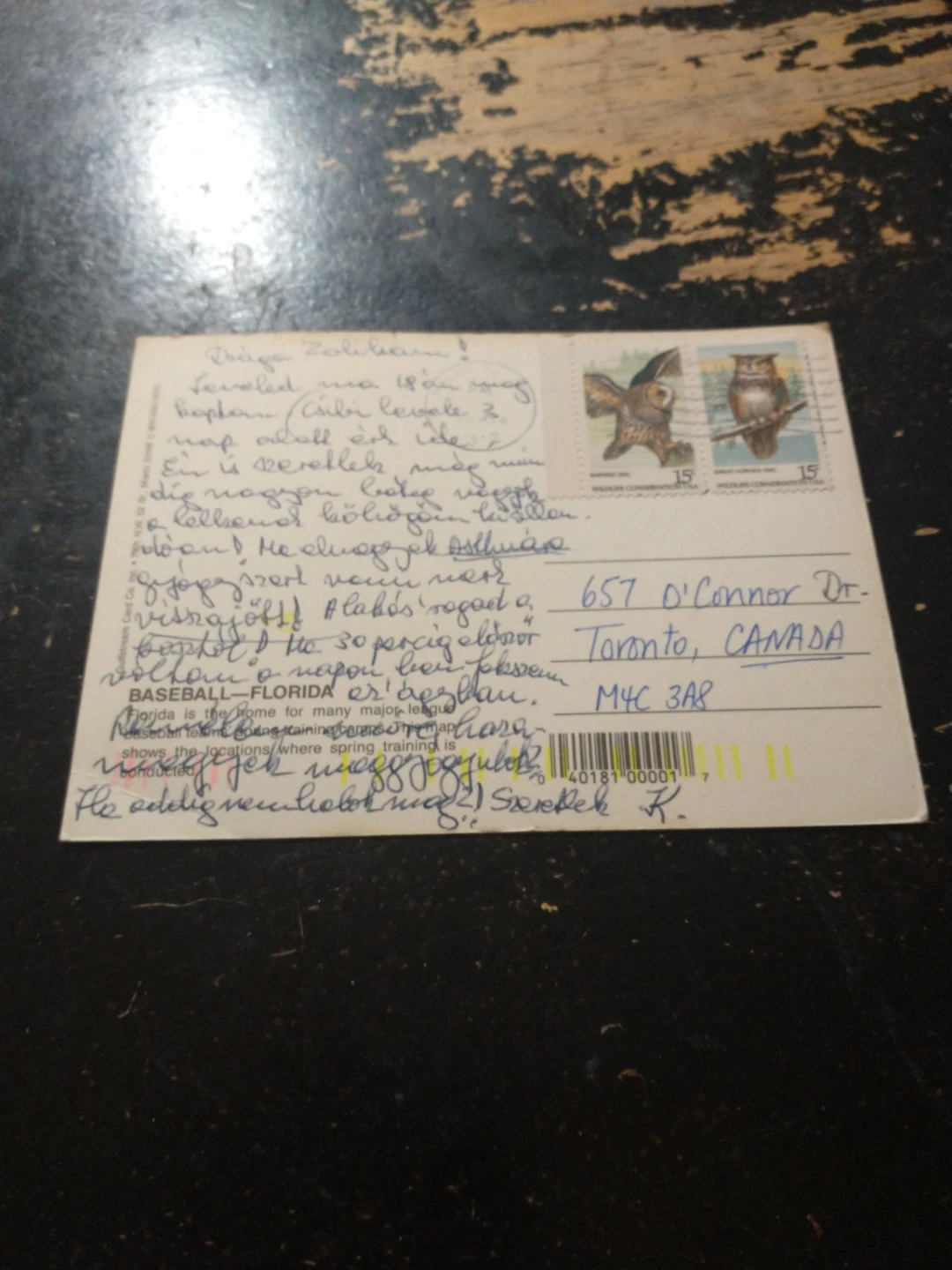 Florida Baseball Postcard - Spring training map - photo 4