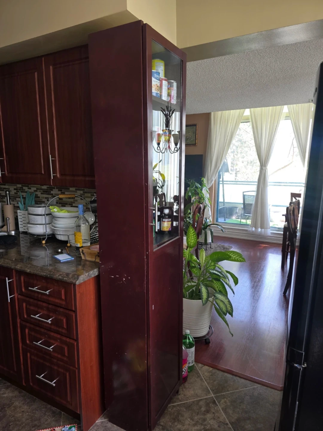 Tall Kitchen Pantry Cabinet with Glass Door