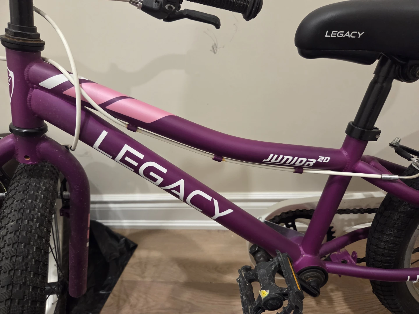 Legacy Junior 20 Kids Bicycle Purple - photo 2