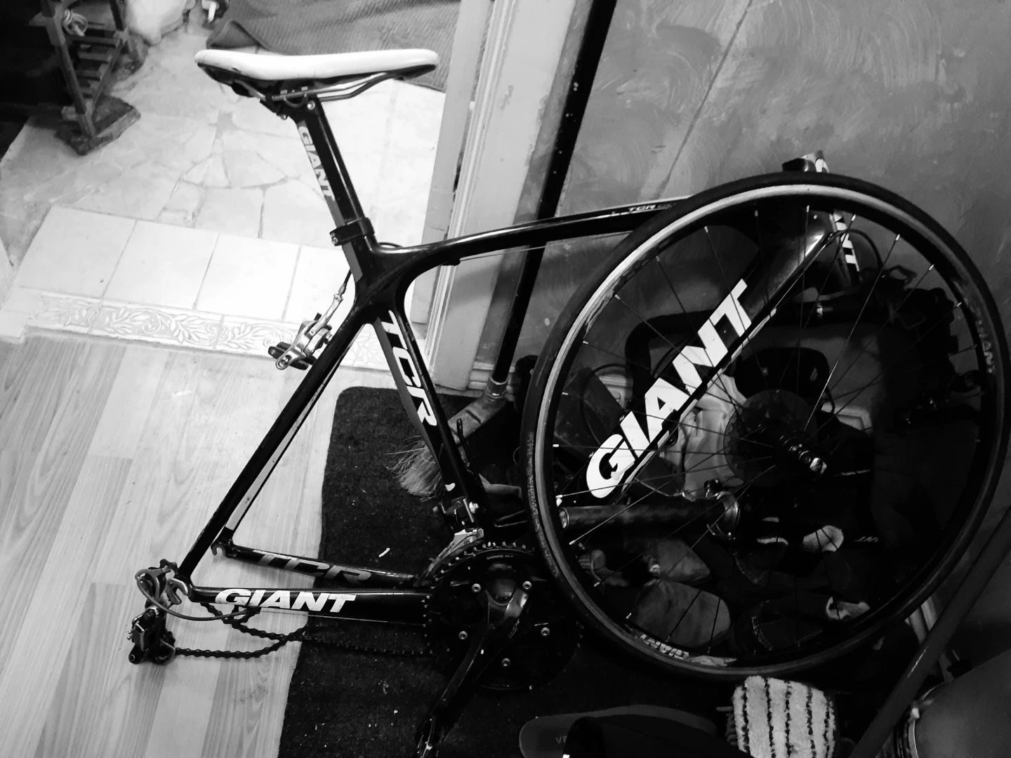 Giant TCR Road Bike Frame