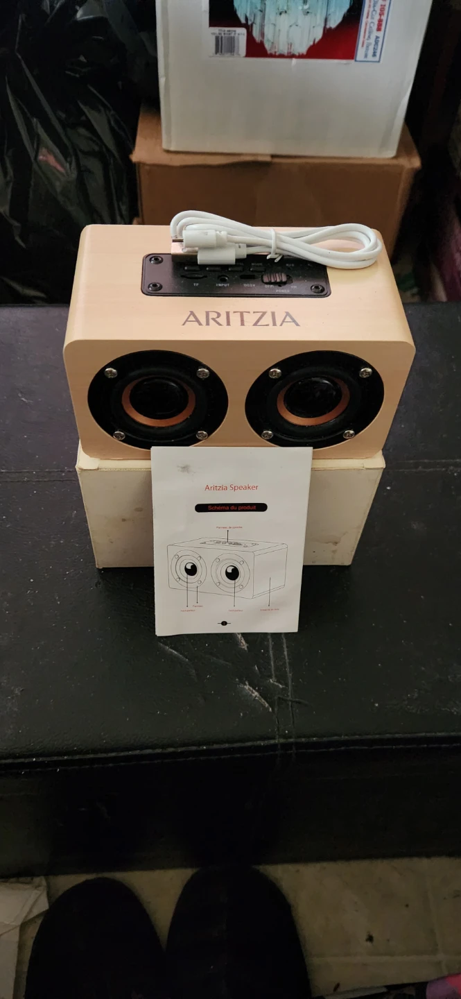 Aritzia Exclusive Wooden Bluetooth Portable Speaker