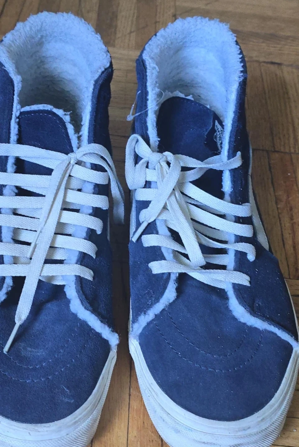 Vans High-Top Sk8-Hi Sherpa Lined Sneakers