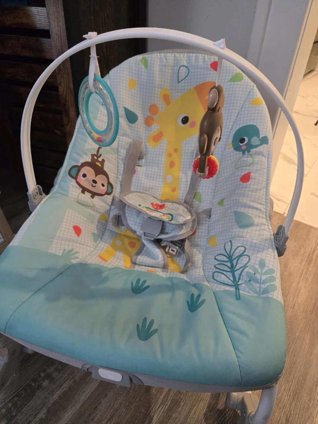 Baby Bouncer Seat (swing)