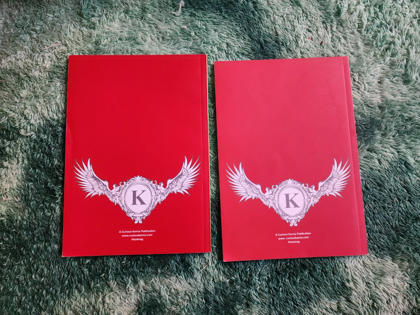 #taximag zines - photo 2