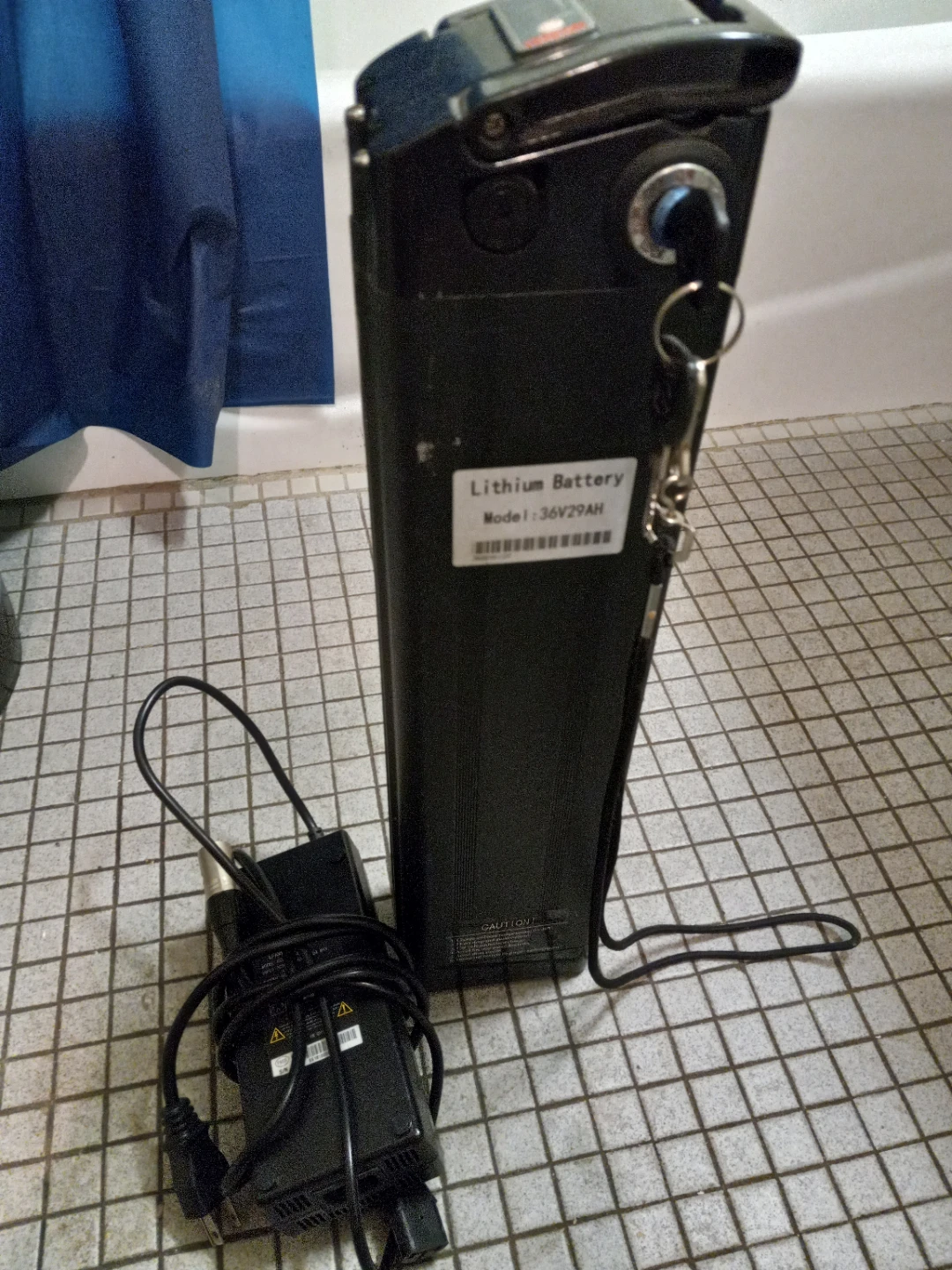 Lithium Battery Pack 36V 29AH with Charger - photo 3