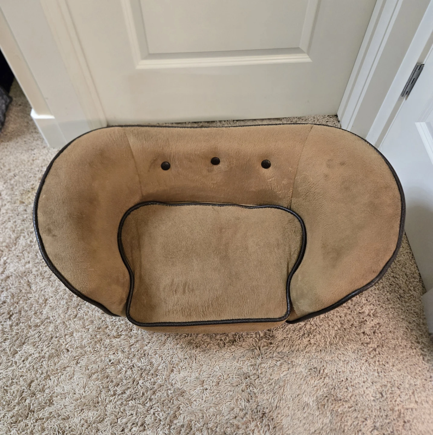 Small Pet Sofa/Bed - photo 2