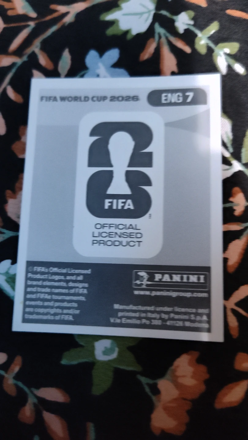 Panini FIFA World Cup 2026 Sticker - Reece James - photo 2