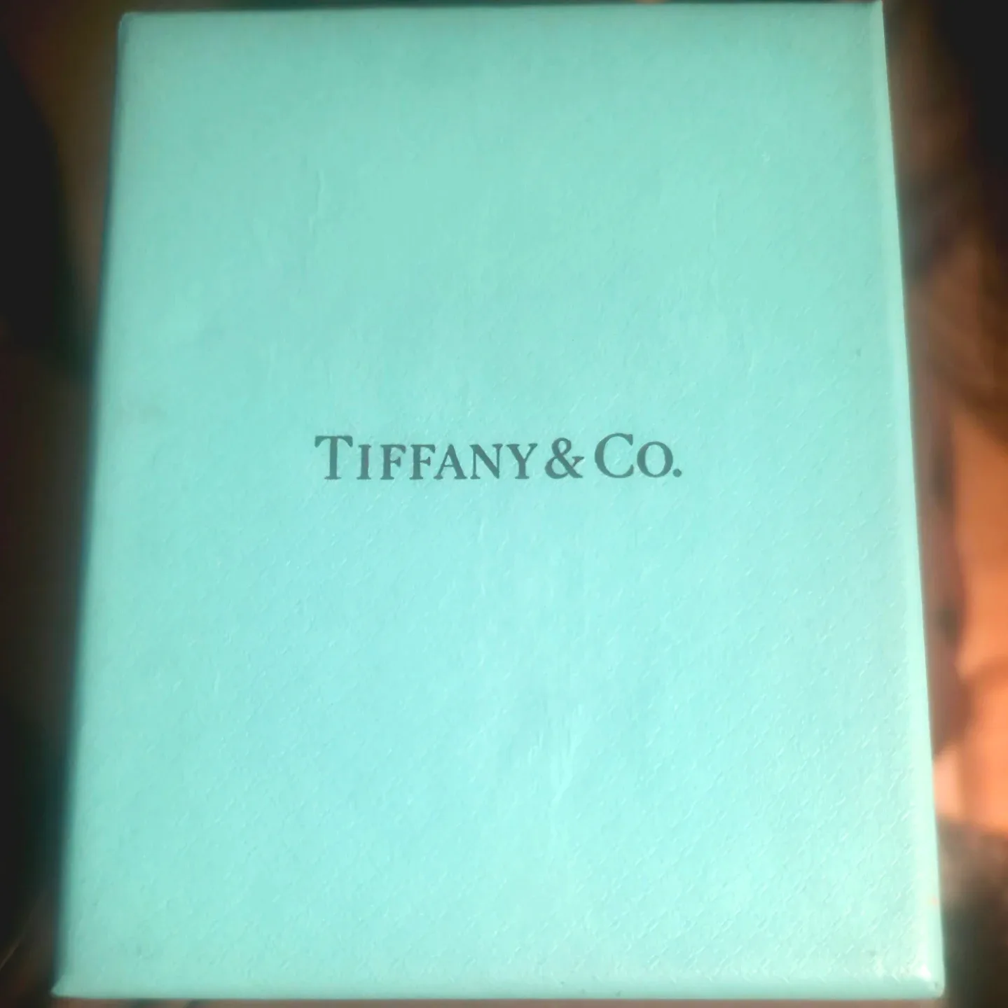 Tiffany & Co. Bow Earrings - photo 2